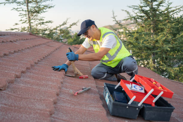 Best Local Roofing Companies  in Alvin, TX